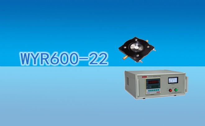 熔点仪加热台WYR600-22